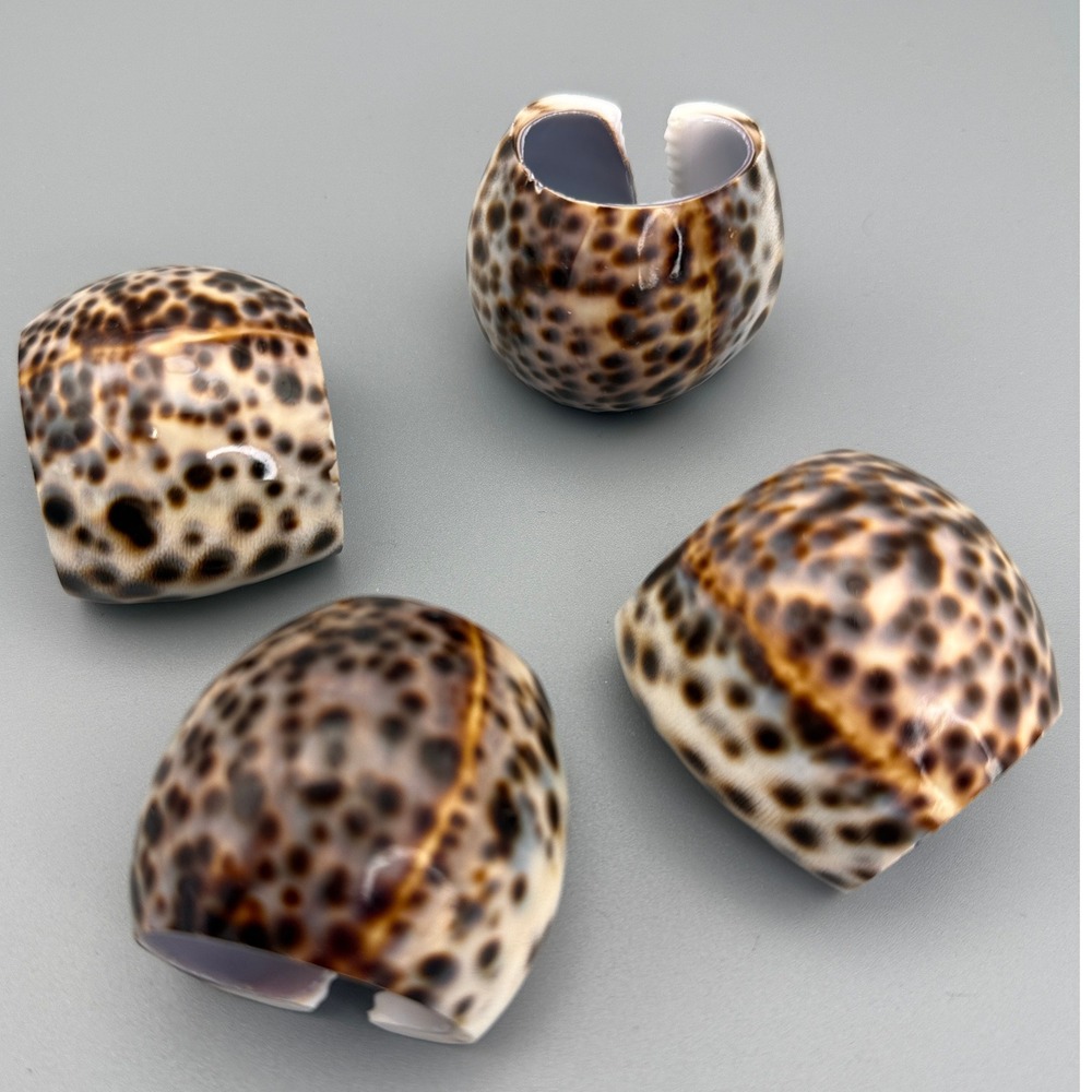 Tiger Cowrie Shell Napkin Rings Set of 4 Brown Spotted Coastal Home